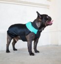 Chaba Ubranko regulowane Wear Magnifique XL zielone