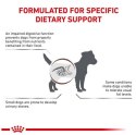 Royal Canin Veterinary Diet Canine Gastrointestinal Low Fat Small 1,5kg