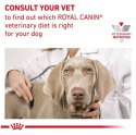 Royal Canin Veterinary Diet Canine Gastrointestinal Low Fat Small 3,5kg