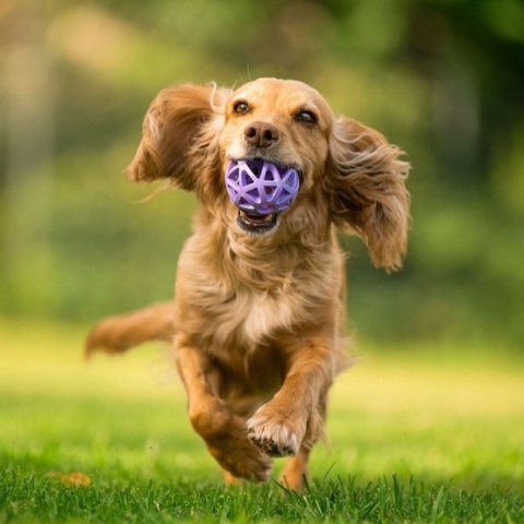Toby's Choice Spiderweb Ball Small [TC10026]