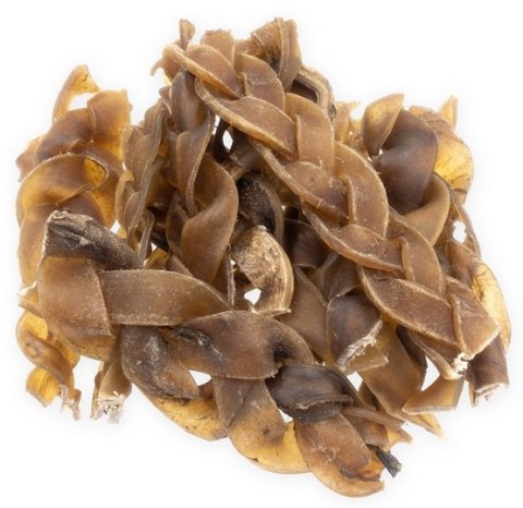 4DOGS Skóra wielbłąda warkocz 500g