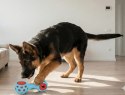 Zolux Zabawka na przysmaki gryzak hantel 13cm