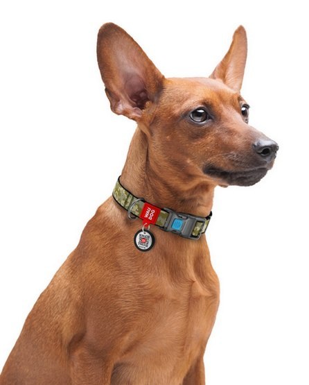 Collar WauDog Nylon Obroża nylonowa z QR-paszportem, plastikowy fastex, wzór MILITARY, L 25mm/33-49cm