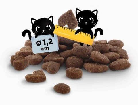 Lucky Lou Food Code Lifestage Adult Drób & Owady 750g