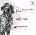 Royal Canin Veterinary Diet Canine Glycobalance Low Carbohydrate Loaf puszka 410g
