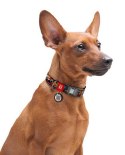 Collar WauDog Nylon Obroża nylonowa z QR-paszportem, plastikowy fastex, wzór ZĘBATE POTWORY, S 15mm/25-35cm