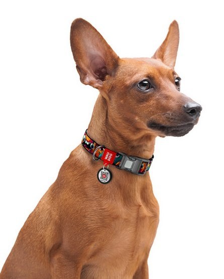 Collar WauDog Nylon Obroża nylonowa z QR-paszportem, plastikowy fastex, wzór ZĘBATE POTWORY, S 15mm/25-35cm
