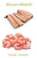 Amanova Cat Tuna & Shrimps - tuńczyk i krewetki w galaretce puszka 70g [10]